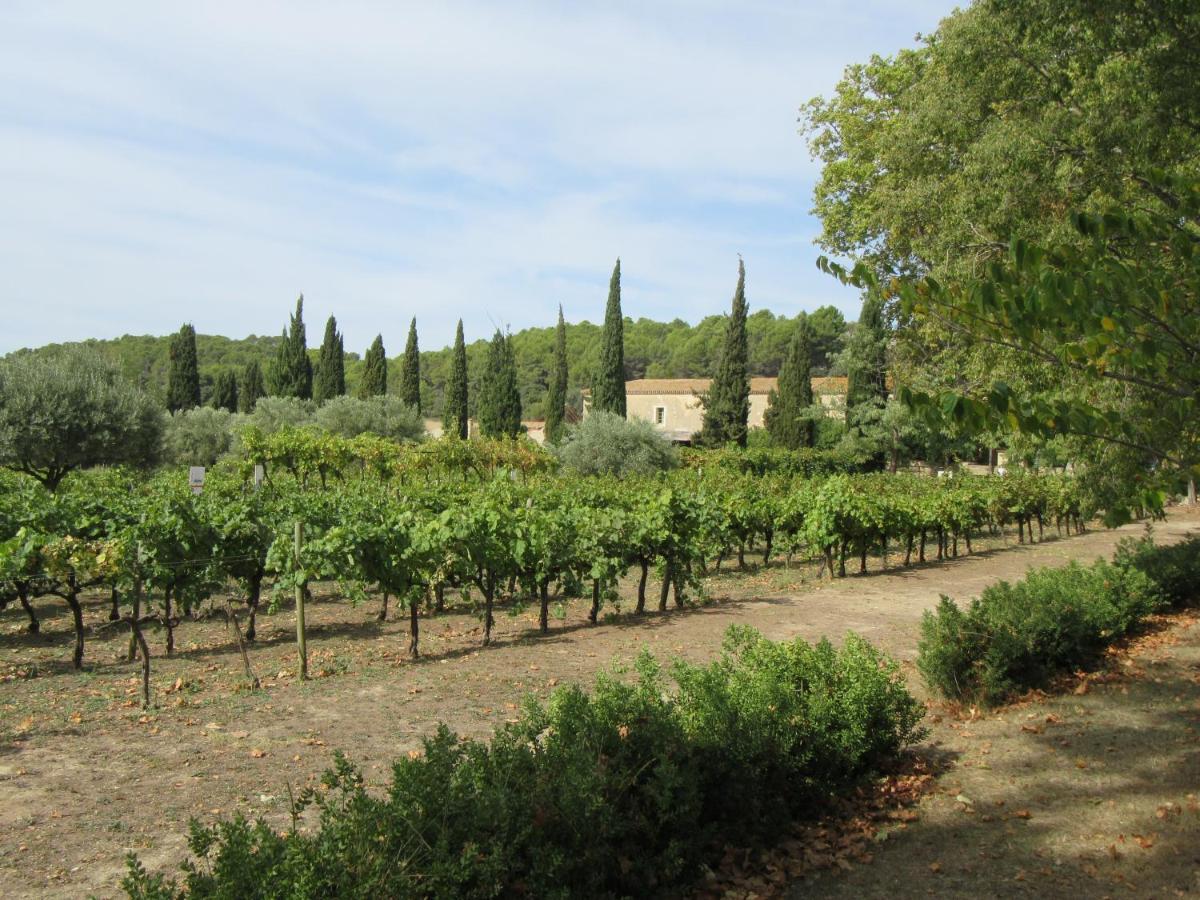 Charming And Quaint 2-Bed House In Marseillan Villa Eksteriør bilde