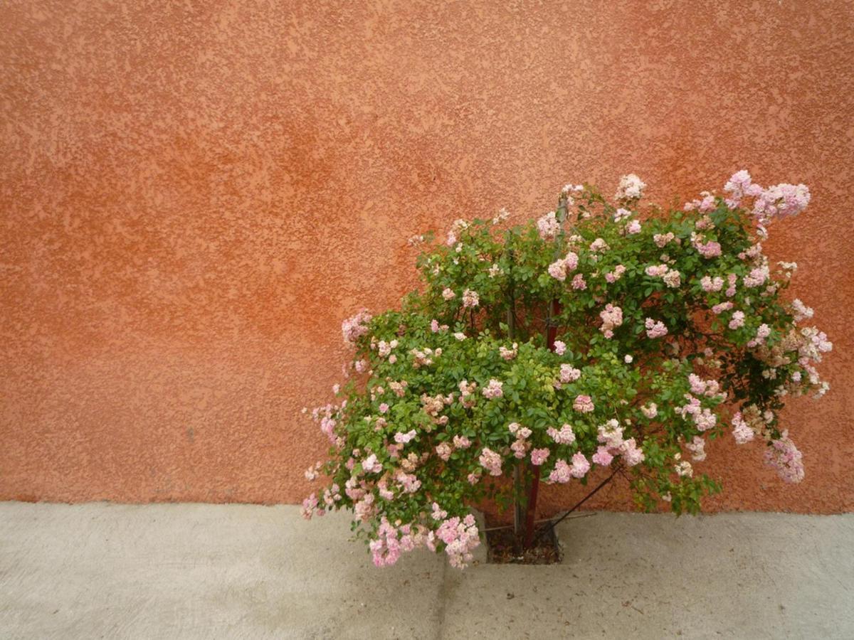 Charming And Quaint 2-Bed House In Marseillan Villa Eksteriør bilde
